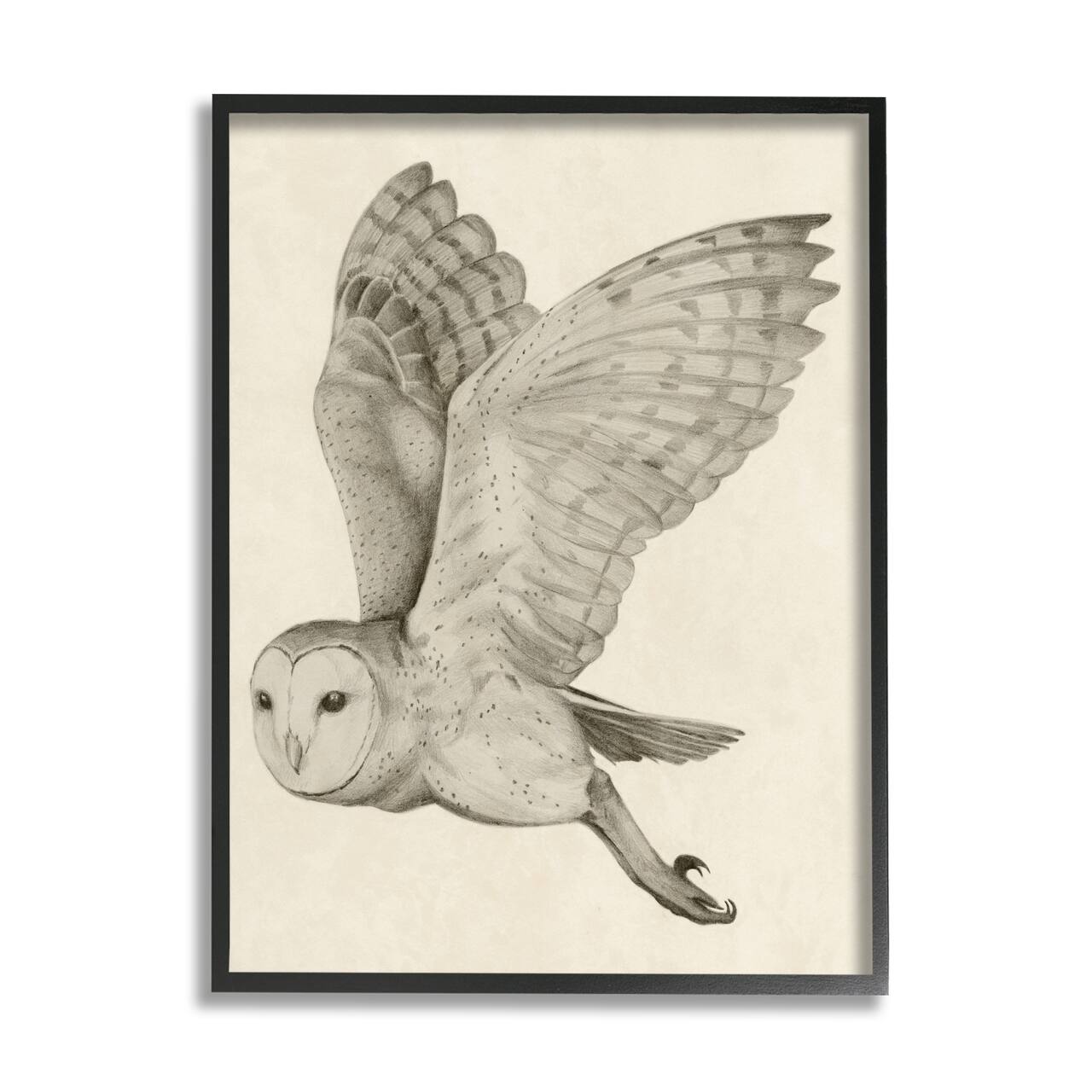 Stupell Industries Flying Barn Owl Wings Detailed Drawing Framed Giclee Art
